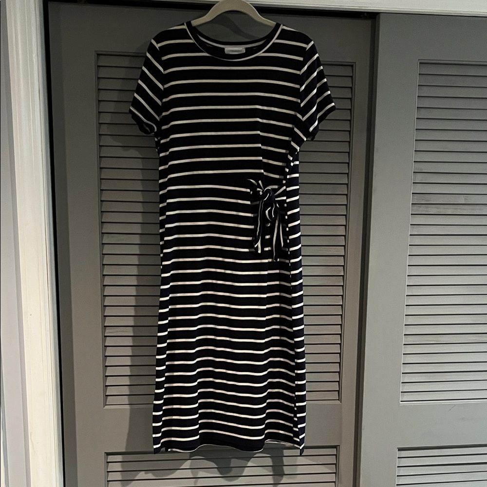 Navy and White Striped Dress